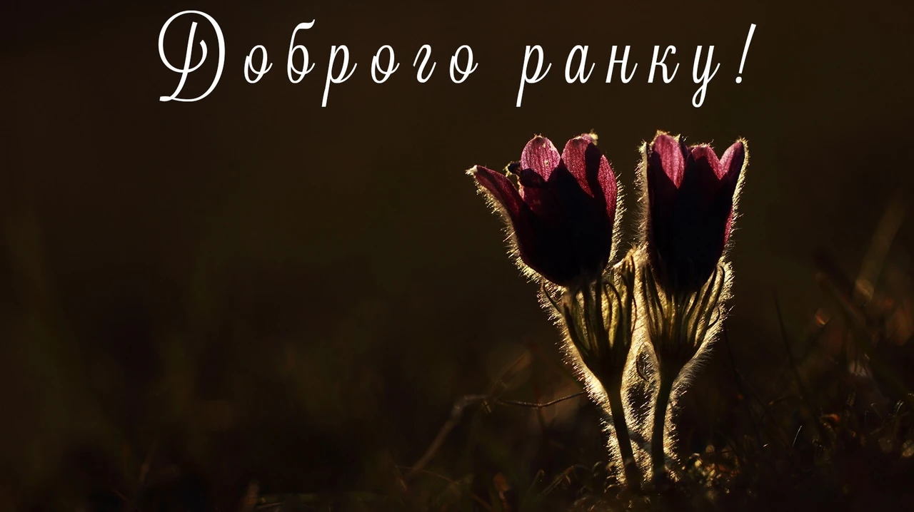 З добрим ранком коханий: слова, що зігрівають серце з перших хвилин дня